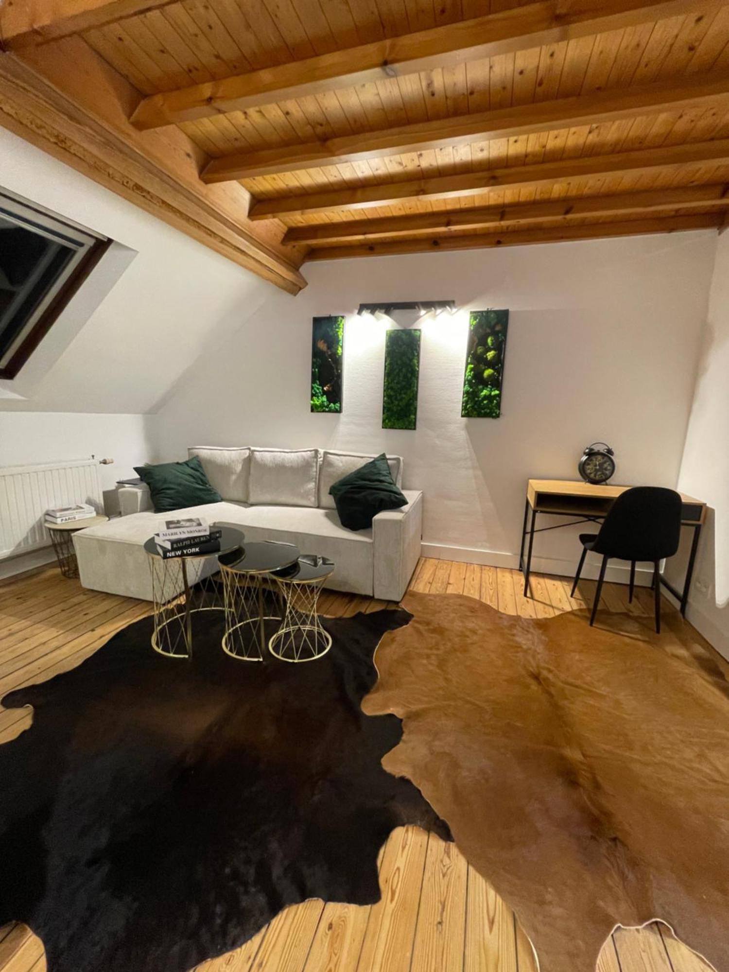 דירות בריסל Attic European Quarter מראה חיצוני תמונה