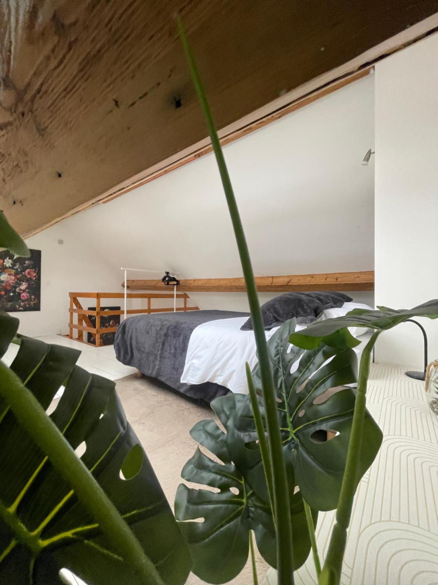 דירות בריסל Attic European Quarter מראה חיצוני תמונה
